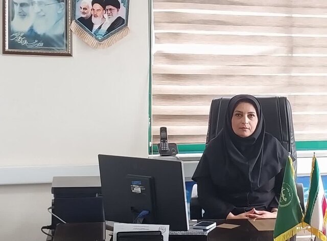 ۸ میلیارد ریال تسهیلات برای جهش مشاغل خانگی در نور