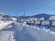 عدم استقرار راهداری و کمبود تجهیزات، مهم‌ترین معضل بخش کجور در هنگام بارش برف 