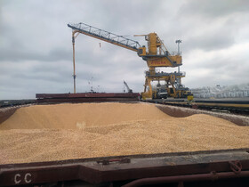 مدیرکل دامپزشکی مازندران: نهاده‌های دامی بدون هیچ خللی از ۳ بندر استان ترخیص شد