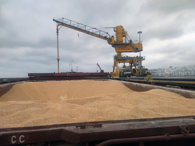 مدیرکل دامپزشکی مازندران: نهاده‌های دامی بدون هیچ خللی از ۳ بندر استان ترخیص شد