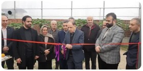 افتتاح همزمان از سه طرح کلان کشاورزی در محمودآباد