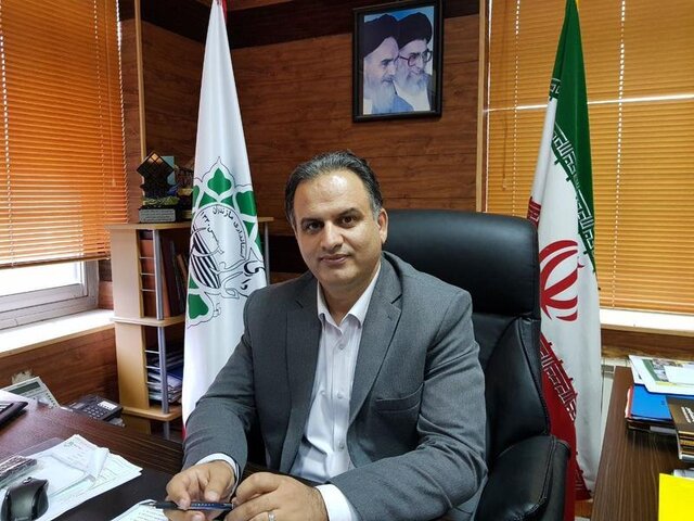 درختکاری در ساحل هچیرود/ماسه‌زارها صیانت می‌شوند
