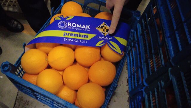 از مزرعه تا مرز؛ پایان خامفروشی با کشاورزی قراردادی و حذف واسطهها