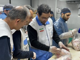 آغاز طرح نظارت دامپزشکی مازندران در آستانه ماه رمضان و نوروز/ استقرار ۴۷ اکیپ بازرسی