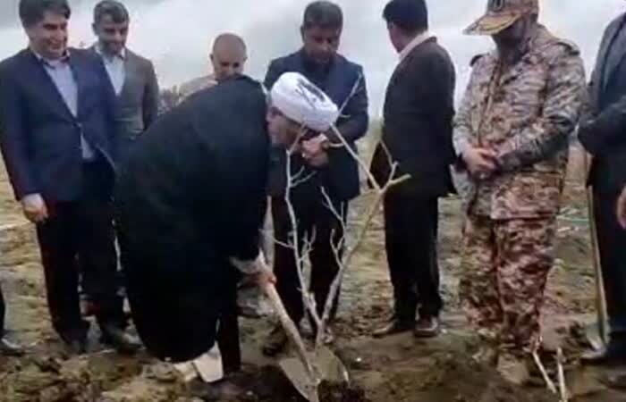کاشت نهال به یاد شهید «قائد ملت» و شهدای جنگ رمضان در بابلسر