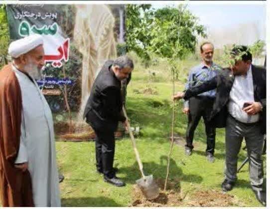 کاشت ۱۰۰ نهال هیرکانی در بابل به یاد شهدای جنگ رمضان