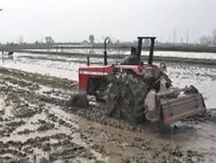 آغاز عملیات شخم و شیار در شالیزارهای سوادکوه / ضرورت بیمه محصولات کشاورزی