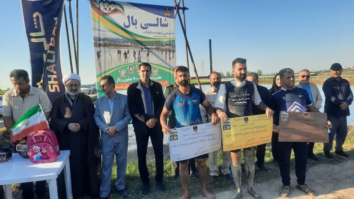 «شالیبال»، شروع متفاوت آملیها برای کشت برنج