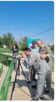 &nbsp;تالاب نیلوفر آبی بابل میزبان پرستوهای دریایی و پرندگان مهاجر