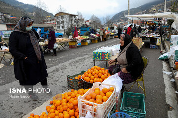 شناسایی ۵۵ بازار محلی مازندران در طرح «هزار میدان، هزار بازار»