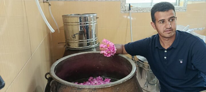 «عطر گل محمدی»؛ سوغات امید و رونق اقتصادی به روستاهای بهشهر