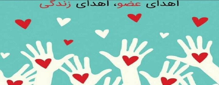 اهدای ۳۹۳ ارگان توسط ۱۲۱ شهروند بابلی در مسیر نجات جان هموطنان