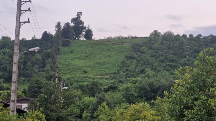 پاسخ منابع طبیعی تنکابن به ابهاماتی درباره پاکتراشی یک قطعه زمین