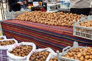 «اَغوزماز»؛ فرصتی برای معرفی گردو و عسل سوادکوه