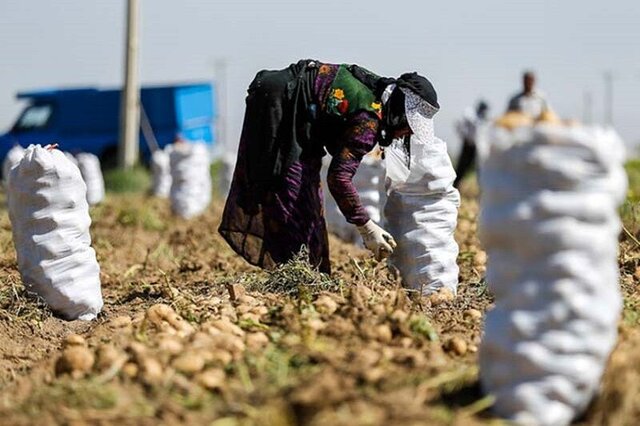 جذب 381 میلیارد تومان اعتبار برای اشتغال روستایی در آذربایجان غربی طی سال جاری