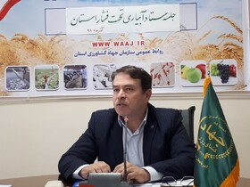 احداث شبکه های فرعی آبیاری در ۶۰۰۰هکتار از اراضی حوضه آبریز دریاچه ارومیه