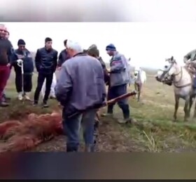 قتل بیرحمانه توله خرس در روستایی در ارومیه/قاتلین دستگیر می شوند