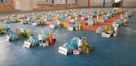توزیع ۲۰۰ بسته غذایی و بهداشتی بین خانواده های آسیب دیده از کرونا در ماکو