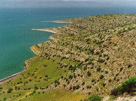 رویش افزون بر ۵۸۵ گونه گیاهی در جزایر دریاچه ارومیه
