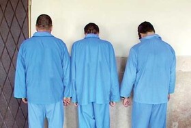 ۳ سارق حرفه ای در نقده دستگیر شدند