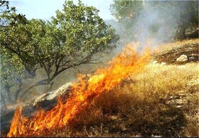 ۳۰۲ هکتار از اراضی ملی سلماس طی سال گذشته طعمه حریق شد
