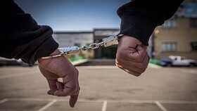 ۵ سارق در نقده دستگیر شدند
