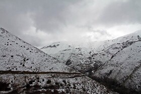 برف ارتفاعات آذربایجان غربی را سفید پوش کرد