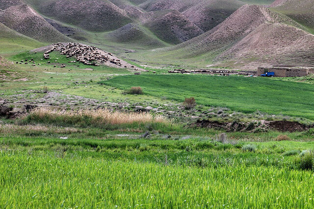  عملیات بیولوژیکی مراتع در ۴۸۰ هکتار از مراتع شوط اجرا می شود