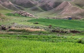 رشد ۷ برابری اجرای طرحهای مرتع داری در اراضی آذربایجان غربی