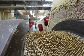 کارخانه‌های خوراک دام، طیور و آبزیان آذربایجان غربی کمتر از ۳۰ درصد ظرفیت فعالیت می کنند
