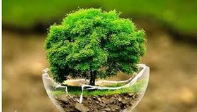 با متجاوزان منابع طبیعی برخورد جدی شود