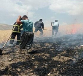مهار آتش سوزی ۲.۵ هکتار از گندم زار قلعه حسن لو در ارومیه