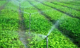 صرفه جویی بیش از ۱۵۳ میلیون مترمکعبی آب در بخش کشاورزی آذربایجان غربی