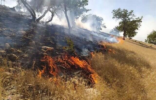 افزایش ۳ برابری آتش سوزی در مراتع و جنگل های آذربایجان غربی