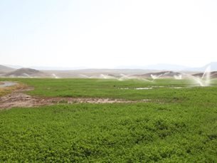 خط انتقال آب کرم آباد پلدشت در آذربایجان غربی آب‌اندازی شد