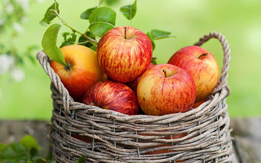 روزانه ۳۰۰۰ تن سیب درختی آذربایجان غربی صادر می شود