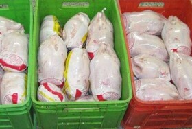 بیش از یک تن گوشت مرغ در ارومیه کشف شد
