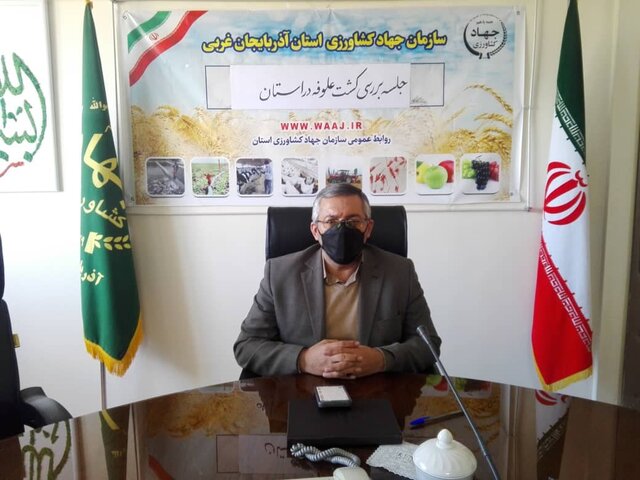 کشت چه محصولی بهترین گزینه برای رهایی از کم آبی است؟ 