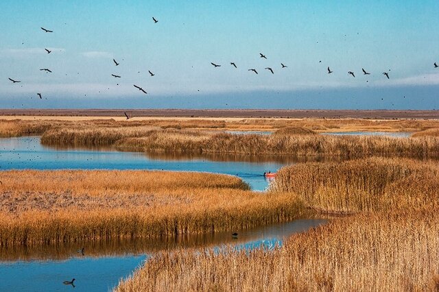 رهاسازی ٢.۵میلیون متر مکعب آب برای احیای تالاب کانی برازان مهاباد رهاسازی ٢.۵میلیون متر مکعب آب برای احیای تالاب کانی برازان مهاباد