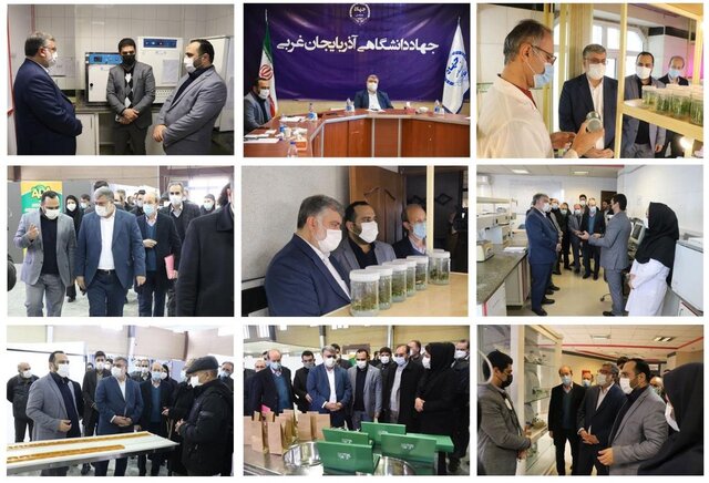 استفاده از ظرفیت پژوهشی و آزمایشگاهی جهاد دانشگاهی در حوزه صادرات محصولات کشاورزی استفاده از ظرفیت پژوهشی و آزمایشگاهی جهاد دانشگاهی در حوزه صادرات محصولات کشاورزی