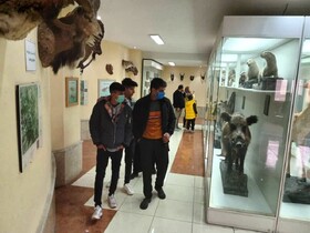 بیش از ۶۵۰۰ نفر از موزه تاریخ طبیعی ارومیه بازدید کردند