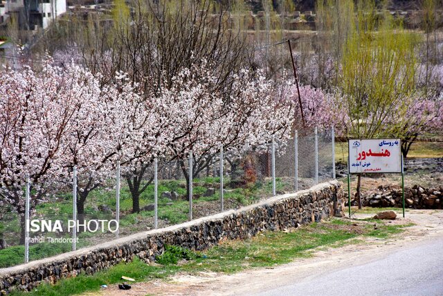 بهار در ماکو