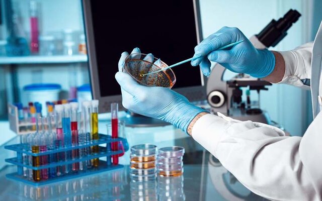 روی آوری به علوم دانش بنیان راهی برای ارتقا بهره وری و توسعه