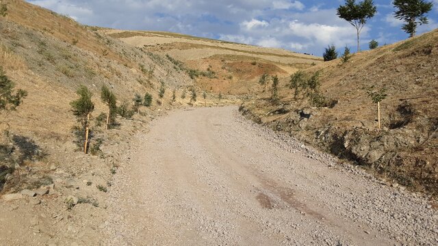 پروژه کمربند سبز شهری در منطقه یک ارومیه افتتاح شد