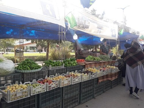 جشنواره ها فرصتی برای ایجاد شادی جمعی