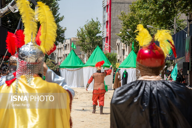 چه مشق زیبایی است این ارادت