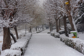 نخستین بارش برف زمستانی ارومیه