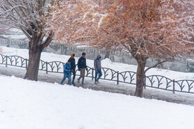 نخستین بارش برف زمستانی ارومیه