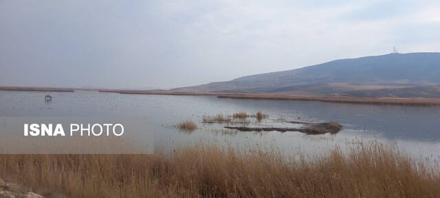 کانی بَرازان، بهشت پرندگان ایران