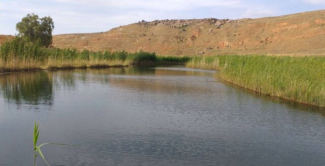 «چملی گل» جزیره ای شناور در تکاب